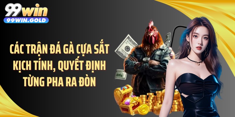 Các trận đá gà cựa sắt kịch tính, quyết định từng pha ra đòn