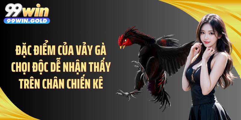 Đặc điểm của vảy gà chọi độc dễ nhận thấy trên chân chiến kê