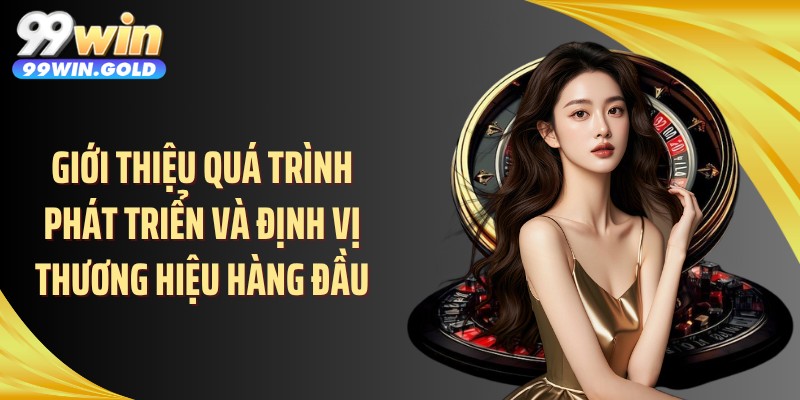Giới thiệu quá trình phát triển và định vị thương hiệu hàng đầu